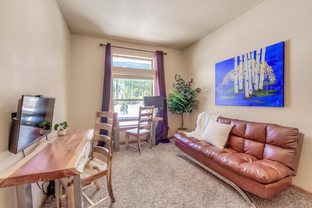 living area with carpet floors