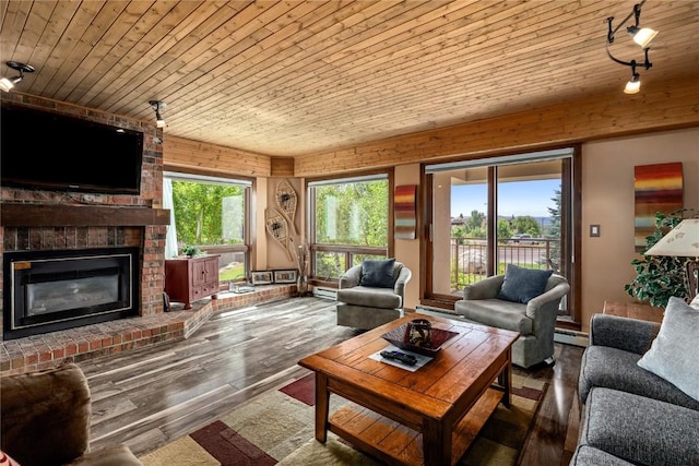 living room with a baseboard heating unit, a healthy amount of sunlight, hardwood / wood-style flooring, wooden ceiling, and a fireplace