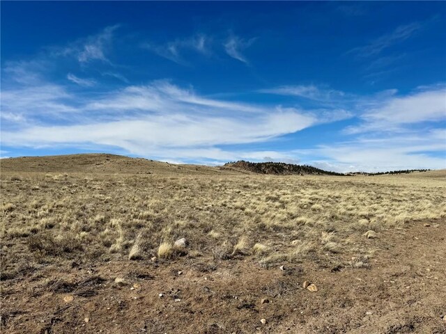 TBD Antero Dr, Hartsel, CO 80449 - photo 24