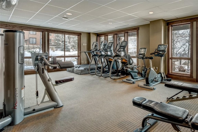 exercise room with carpet, a healthy amount of sunlight, and a paneled ceiling