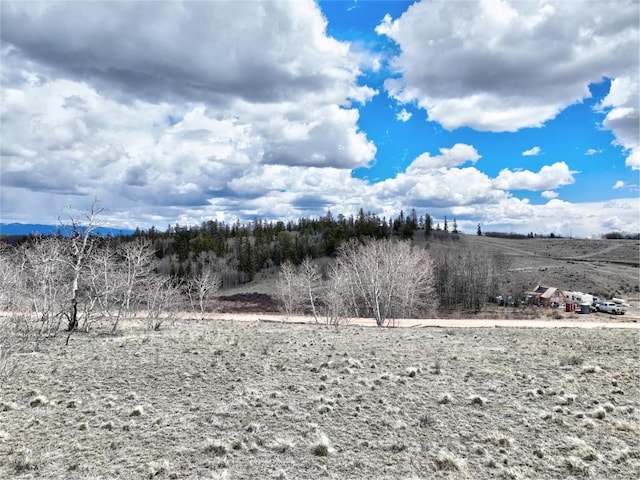 1087 Kite Ct, Como, CO 80432