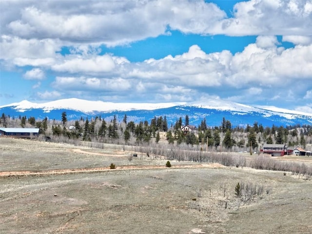 1087 Kite Ct, Como, CO 80432