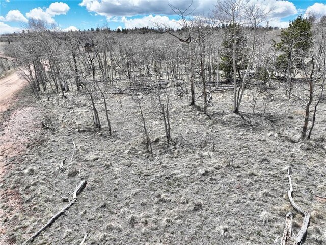 1087 Kite Ct, Como, CO 80432