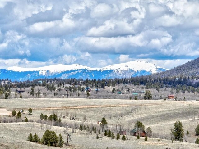1087 Kite Ct, Como, CO 80432