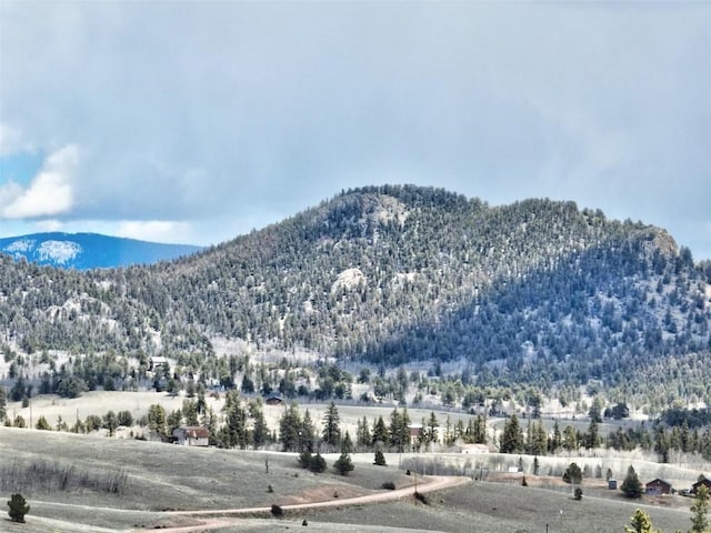 1087 Kite Ct, Como, CO 80432