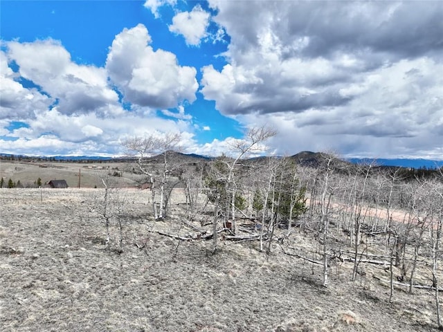1087 Kite Ct, Como, CO 80432