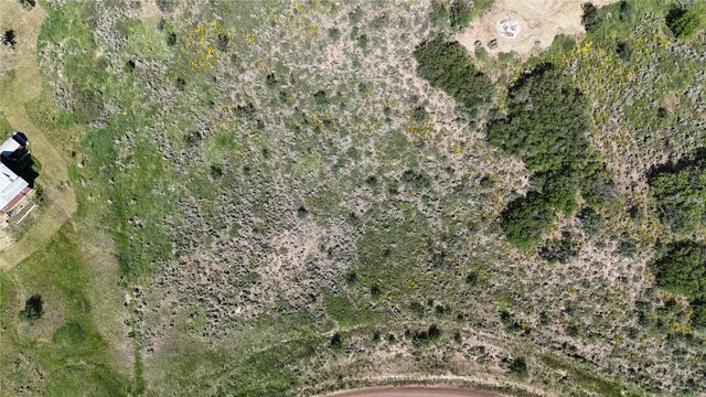 31185 Broken Talon Trl, Oak Creek, CO 80467 - photo 5