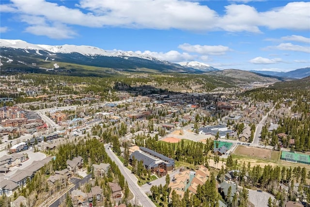 530 S French St Unit 110, Breckenridge, CO 80424 - view of property location with a mountain backdrop