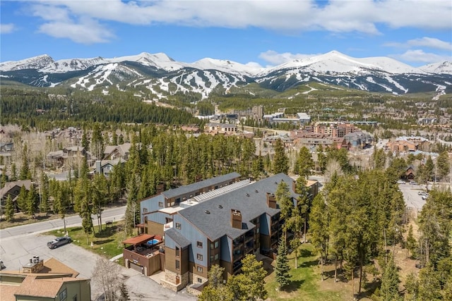 530 S French St Unit 110, Breckenridge, CO 80424 - view of mountain background