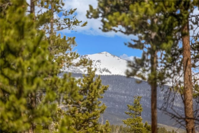 530 S French St Unit 110, Breckenridge, CO 80424 - water view with mountains