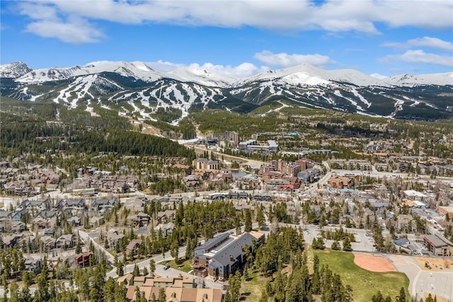 530 S French St Unit 110, Breckenridge, CO 80424 - view of mountain background