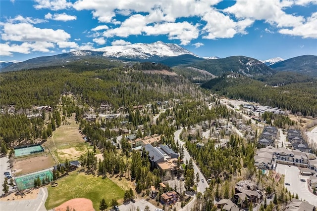 530 S French St Unit 110, Breckenridge, CO 80424 - drone / aerial view of a mountain backdrop and a forest