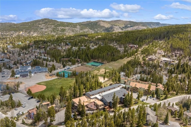 530 S French St Unit 110, Breckenridge, CO 80424 - view of property location with a mountainous background and a heavily wooded area