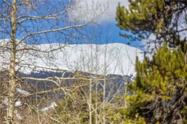 530 S French St Unit 110, Breckenridge, CO 80424 - view of mountain background