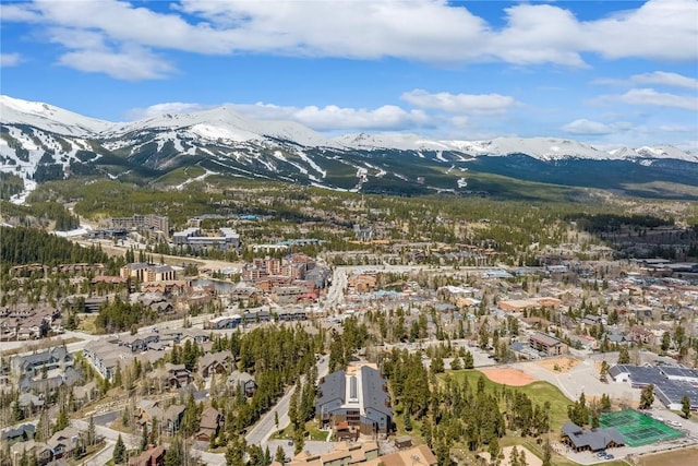530 S French St Unit 110, Breckenridge, CO 80424 - view of mountain background