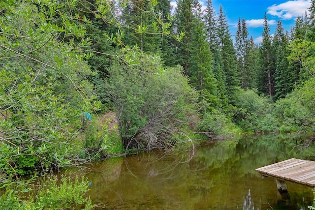 136 Lance Ln Unit 2, Breckenridge, CO 80424 - dock with a water view