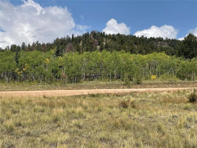 491 W Longbow Dr, Como, CO 80432