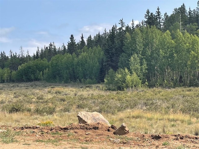 491 W Longbow Dr, Como, CO 80432