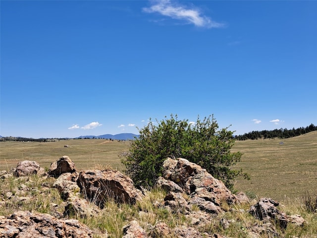 6630 Atoka Rd, Hartsel, CO 80449
