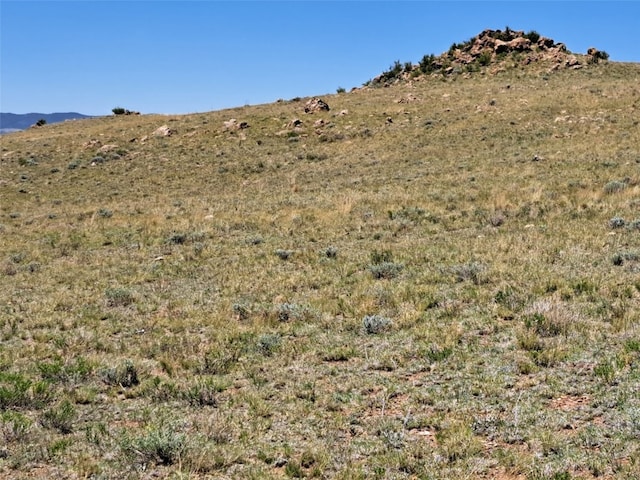 6630 Atoka Rd, Hartsel, CO 80449