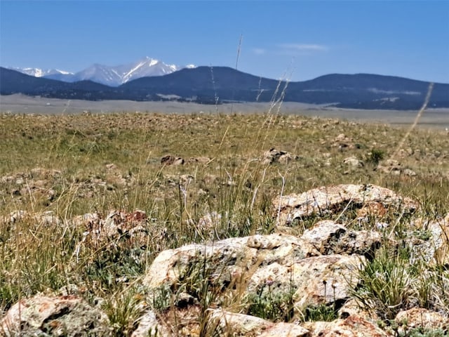 6630 Atoka Rd, Hartsel, CO 80449