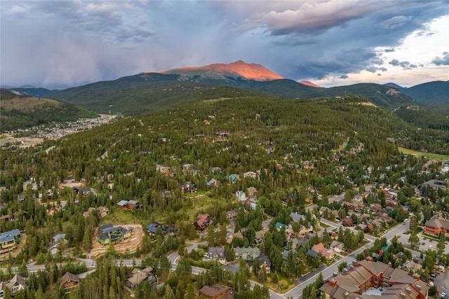 196 Wellington Rd, Breckenridge, CO 80424 - photo 38