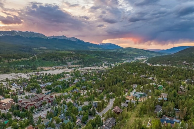 196 Wellington Rd, Breckenridge, CO 80424 - photo 43