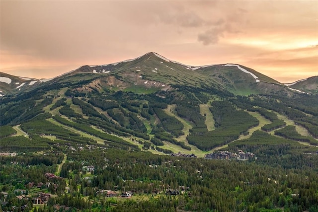 196 Wellington Rd, Breckenridge, CO 80424 - photo 39