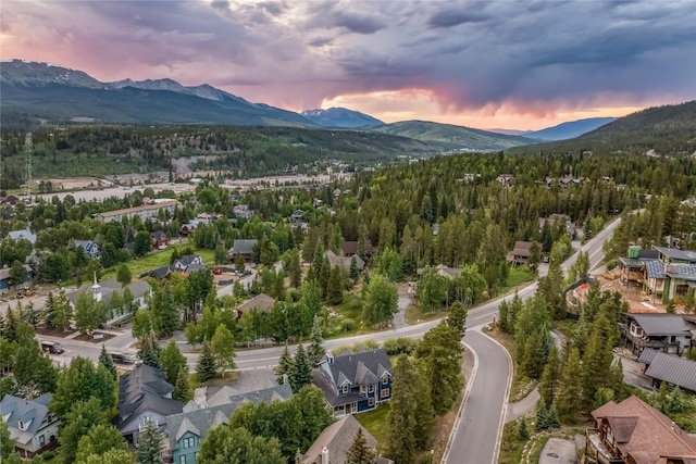 196 Wellington Rd, Breckenridge, CO 80424 - photo 45