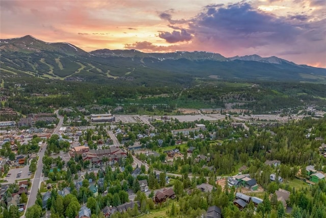 196 Wellington Rd, Breckenridge, CO 80424 - photo 42