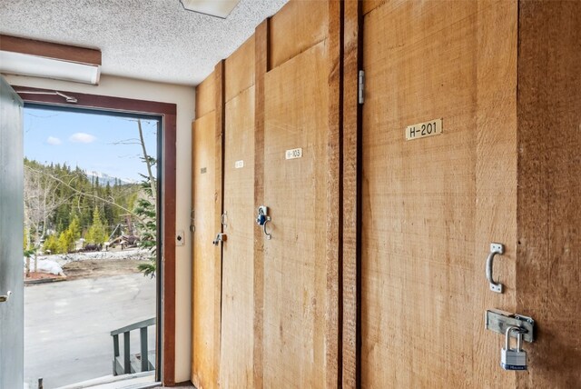 344 Illinois Gulch Rd Unit 201, Breckenridge, CO 80424 - doorway featuring a textured ceiling