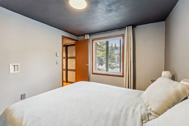 344 Illinois Gulch Rd Unit 201, Breckenridge, CO 80424 - view of bedroom