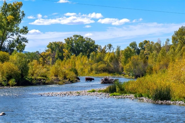 26400 Cc Way, Steamboat Springs, CO 80487