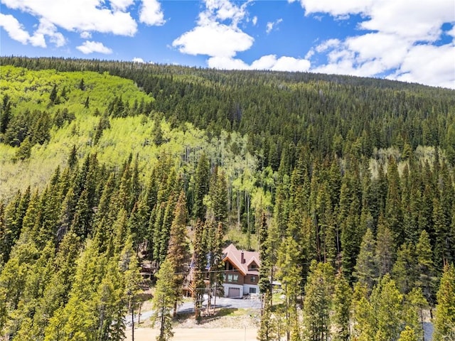 433 97th Cir, Blue River, CO 80424 - exterior view
