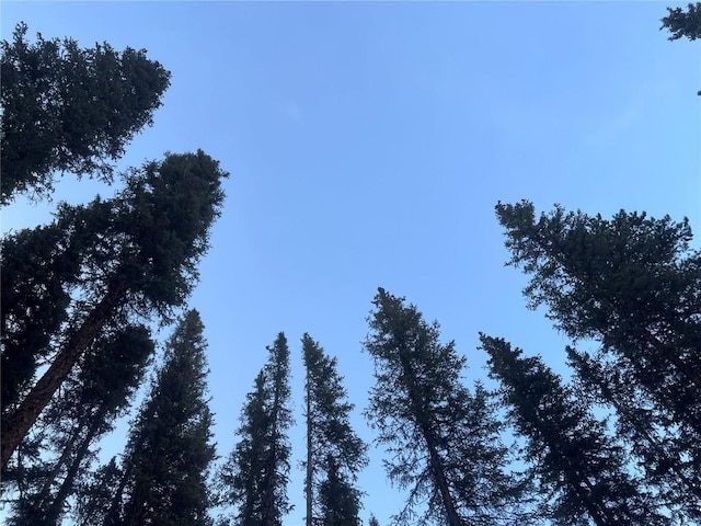 view of nature