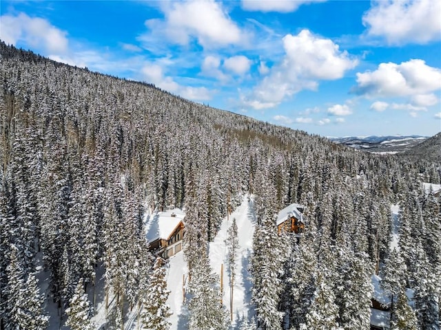 view of mountain feature featuring a forest view