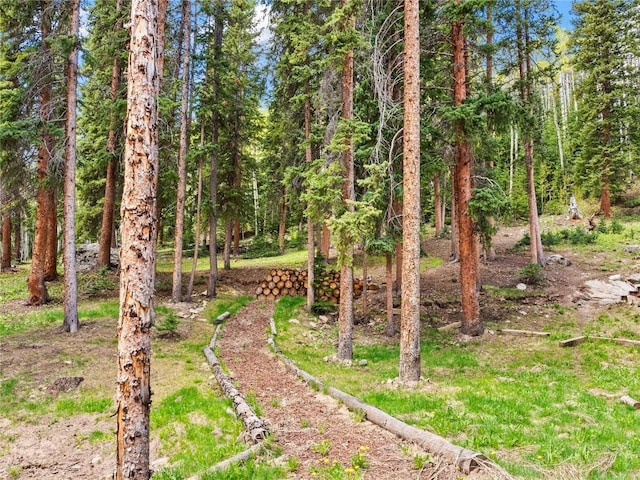433 97th Cir, Blue River, CO 80424 - view of yard