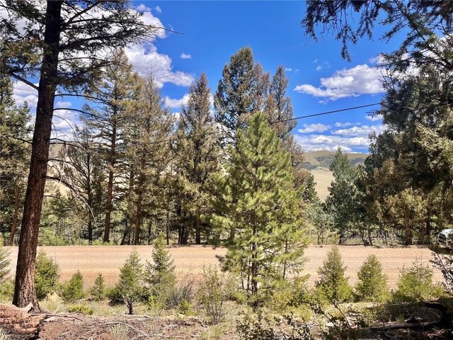 3015 Redhill Rd, Fairplay, CO 80440