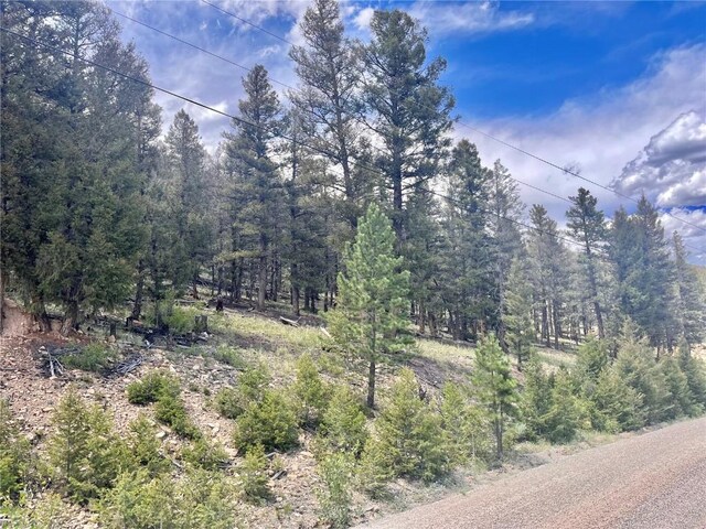 3015 Redhill Rd, Fairplay, CO 80440
