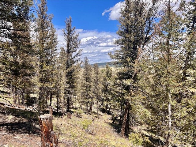 3015 Redhill Rd, Fairplay, CO 80440