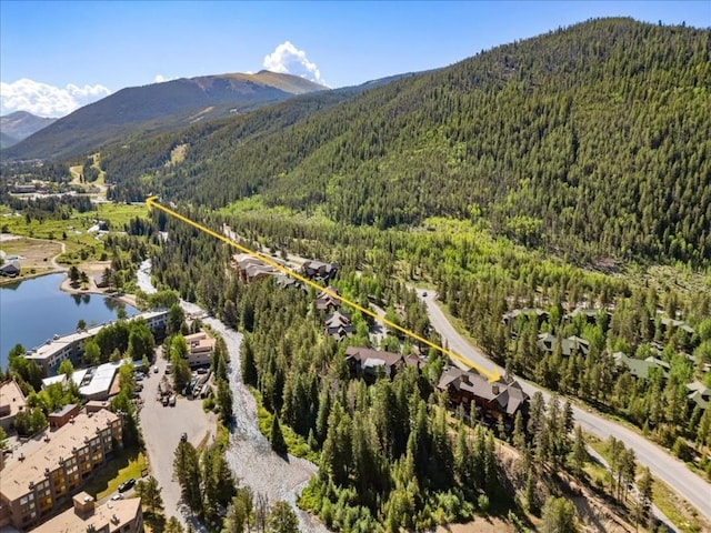7 Lake Ridge Cir Unit 1818, Keystone, CO 80435 - photo 5