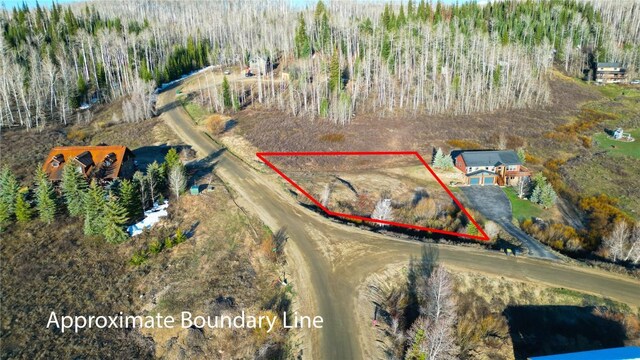 26790 Beaver Canyon Dr, Clark, CO 80428