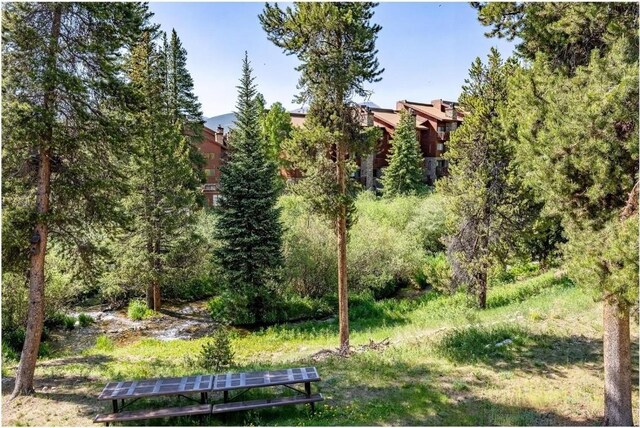 110 Sawmill Rd Unit 6C, Breckenridge, CO 80424 - photo 19