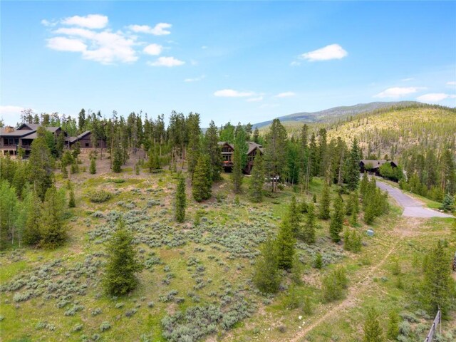 805 Highfield Trl, Breckenridge, CO 80424 - photo 30