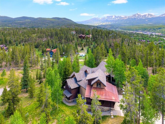 805 Highfield Trl, Breckenridge, CO 80424 - photo 41