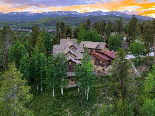 805 Highfield Trl, Breckenridge, CO 80424 - photo 9