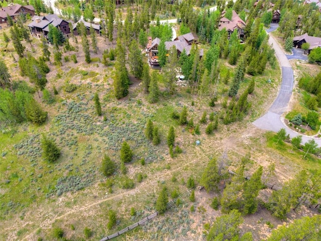 805 Highfield Trl, Breckenridge, CO 80424 - photo 42