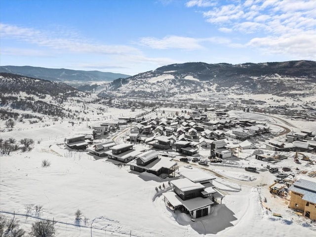 2040 Sunlight Dr, Steamboat Springs, CO 80487 - photo 43