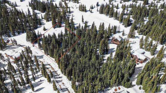 23 Camron Ln, Breckenridge, CO 80424