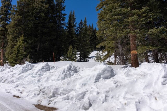 23 Camron Ln, Breckenridge, CO 80424